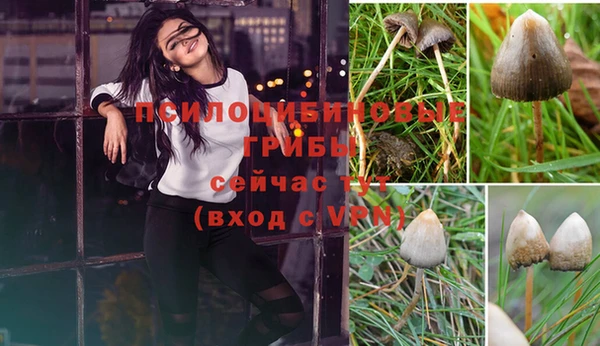 бошки Богородицк