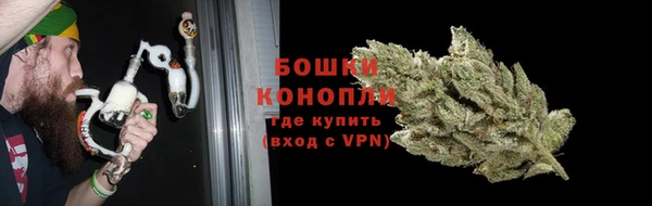 бошки Богородицк