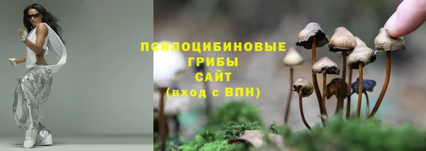 мдма Богородск