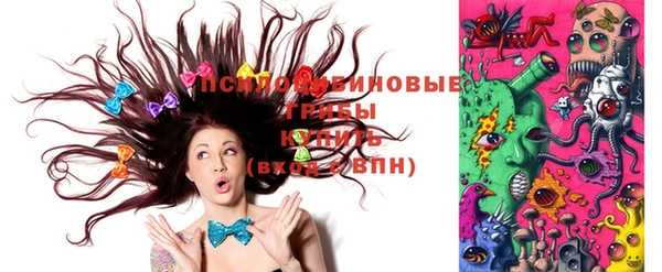 бошки Богородицк