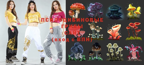 СК Богданович