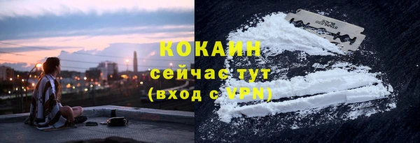 бошки Богородицк