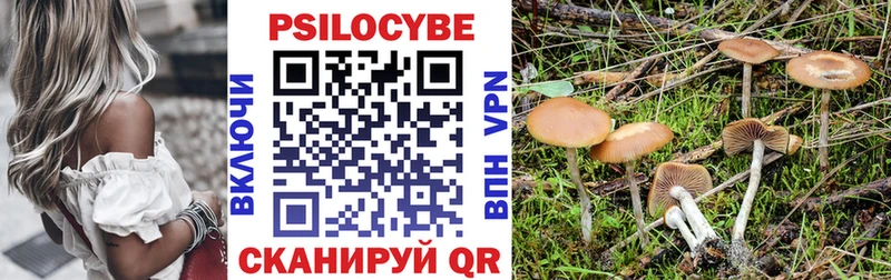 Купить закладки Вельск Псилоцибиновые грибы прущие грибы